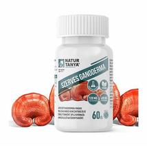 natur-tanya-szerves-ganoderma-pecsetviaszgomba-923